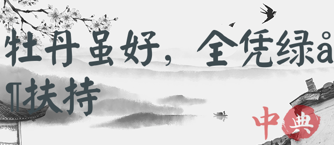 牡丹雖好，全憑綠葉扶持