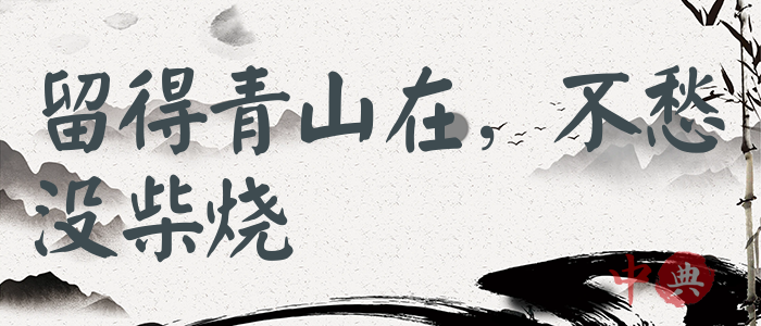 留得青山在，不愁沒柴燒