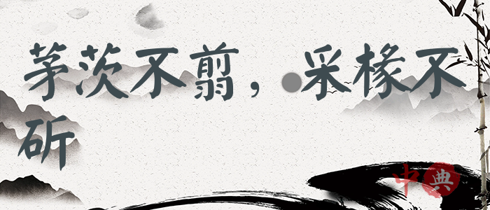 茅茨不翦，采椽不斫