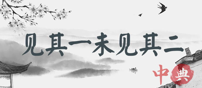 見其一未見其二