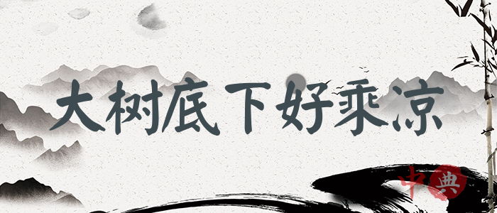 大樹底下好乘涼