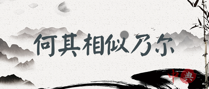 何其相似乃爾