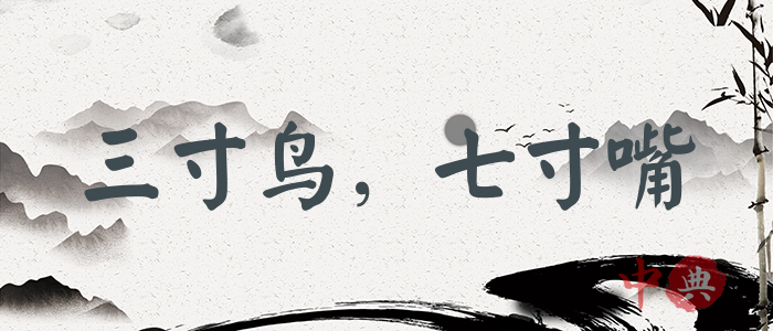 三寸鳥，七寸嘴