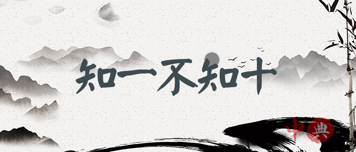 知一不知十