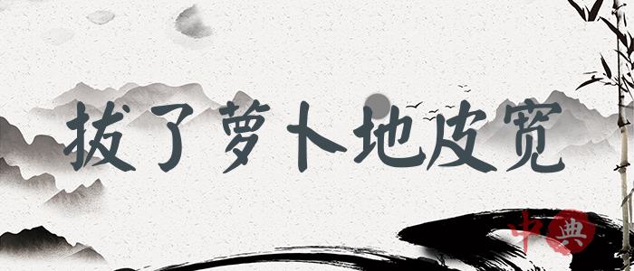 拔了蘿卜地皮寬