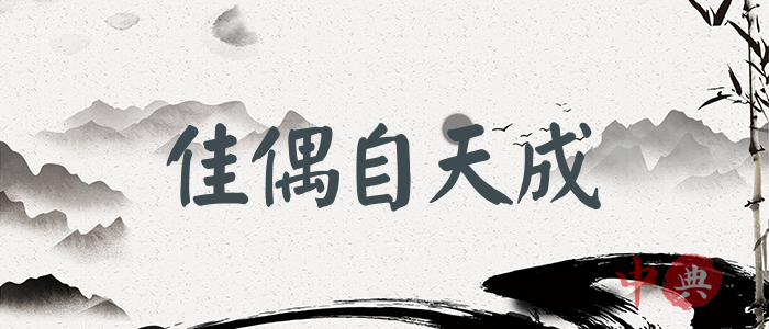 佳偶自天成