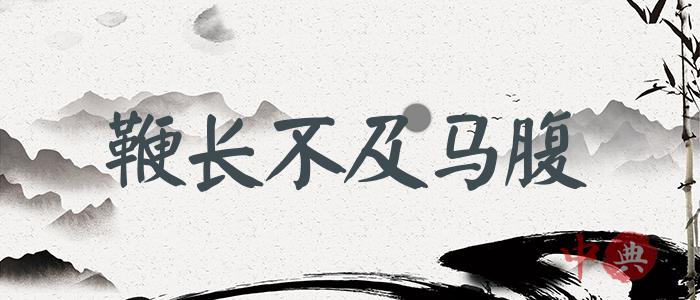 鞭長不及馬腹