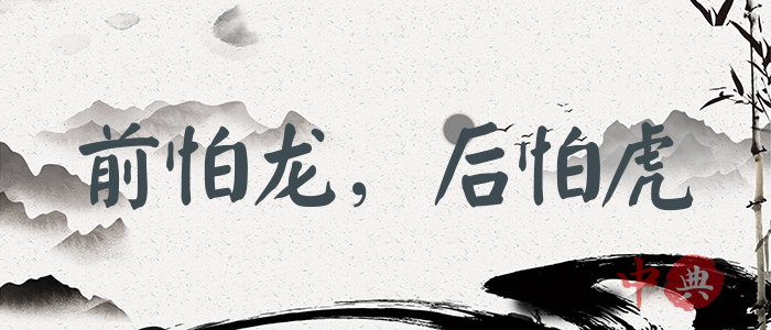 前怕龍，后怕虎