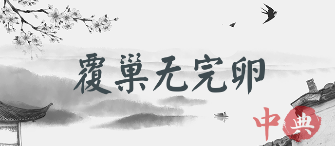 覆巢無完卵