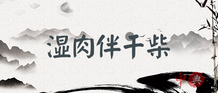 濕肉伴干柴