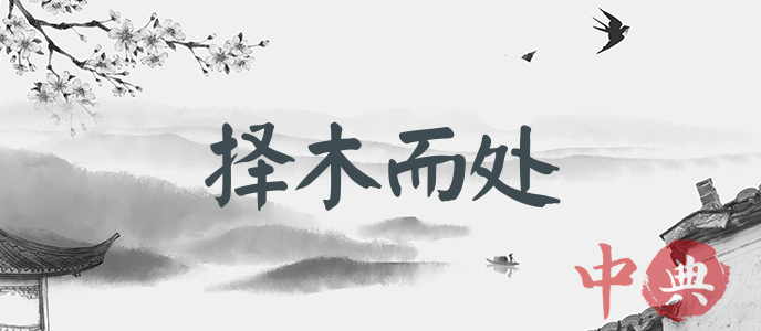 擇木而處