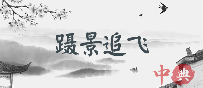 躡景追飛