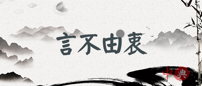 言不由衷