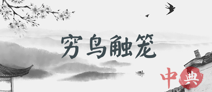 窮鳥觸籠