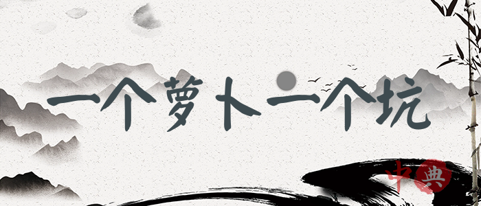 一個蘿卜一個坑