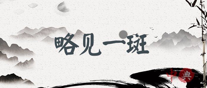 略見一斑