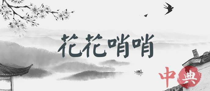 花花哨哨