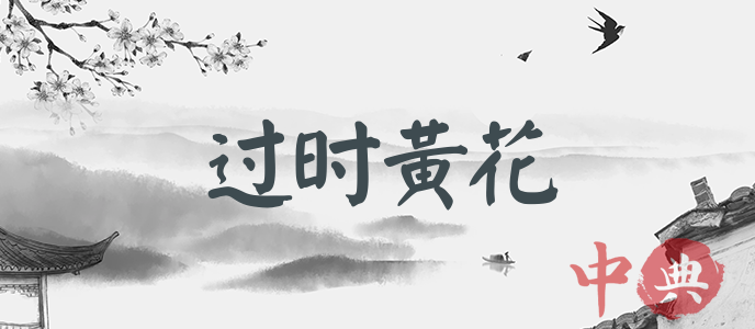 過時黃花