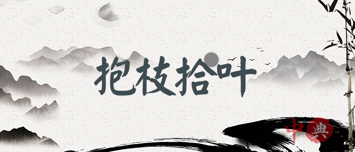 抱枝拾葉