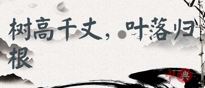樹高千丈，葉落歸根