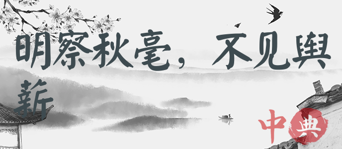 明察秋毫，不見輿薪