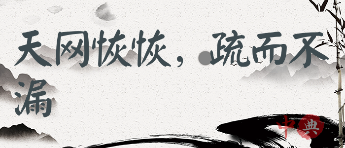 天網恢恢，疏而不漏