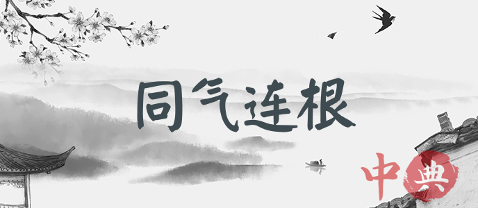 同氣連根