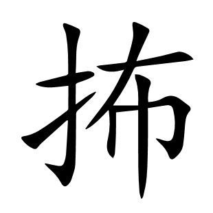抪