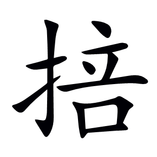掊