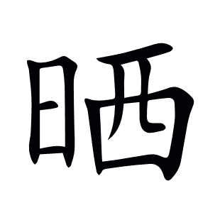 曬