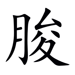 朘