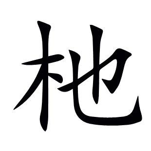 杝