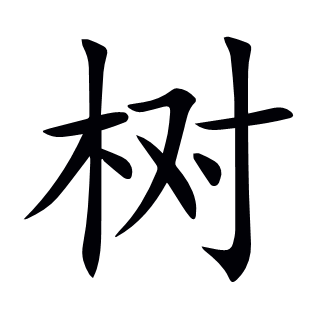 樹