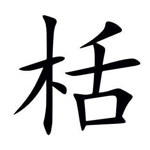 栝
