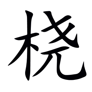 橈