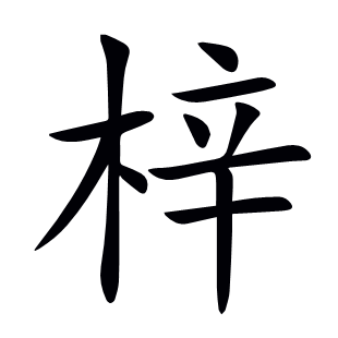 梓