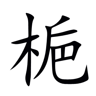 梔