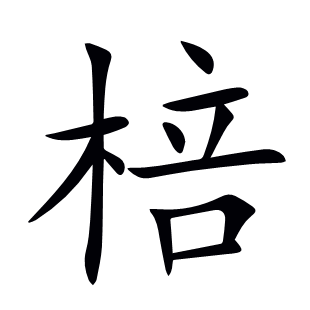 棓