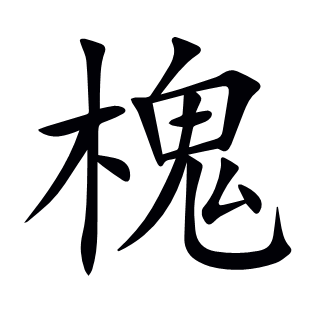 槐