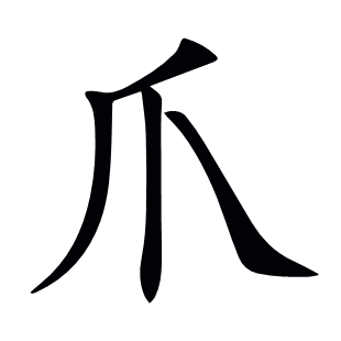 爪