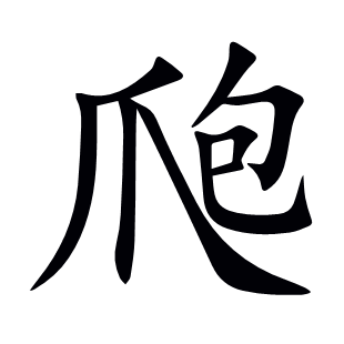 爮