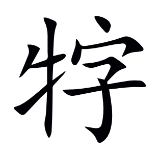 牸