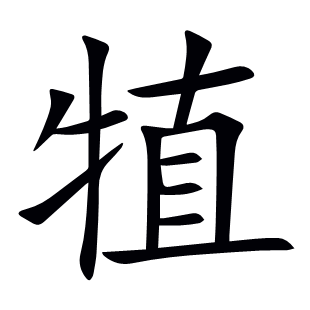犆