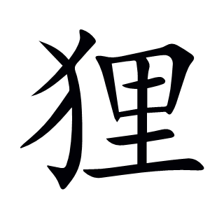 貍