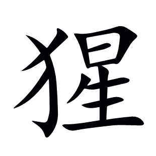 猩