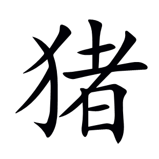 豬