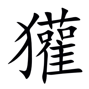 獾