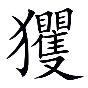 玃