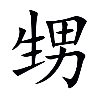 甥