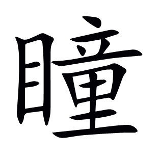 瞳